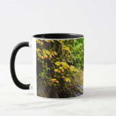 Mug Ours Brown & Cube | Hyder, Alaska (Gauche)