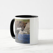 Mug ours Brown, grizzli, avec prises saumons, (Devant gauche)