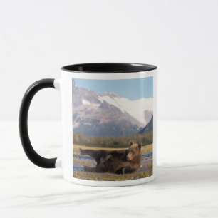 Mug ours Brown, grizzli s'étirant sur le dos