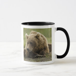 Mug Ours brun, ou Grizzly côtier, Ursus