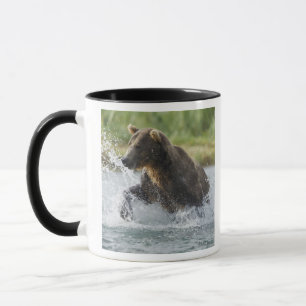 Mug Ours brun poursuivant le saumon dans la rivière