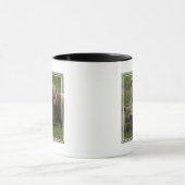 Mug Ours bruns câlinant avec leur mère (Centre)