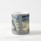 Mug Ours de Sun (Centre)