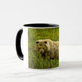 Mug Ours gris de Denali (Devant gauche)