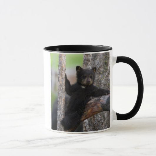 Mug Ours noir ourson paresseux (Droite)