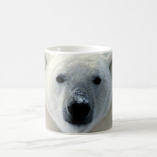 Mug Ours polaire