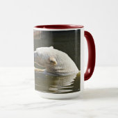 Mug Ours Polaire Mangeant Des Fruits Dans L'Eau (Devant droit)