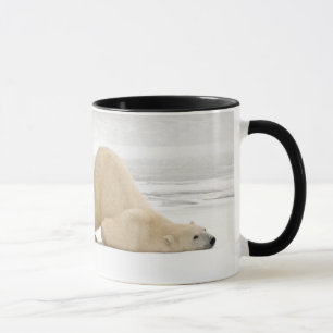 Mug Ours polaire se grattant sur la toundra gelée