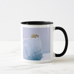 Mug ours polaire, Ursus maritimus