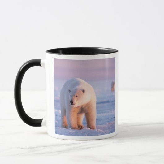 Mug ours polaire, Ursus maritimus (Gauche)