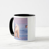 Mug ours polaire, Ursus maritimus (Devant gauche)