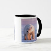 Mug ours polaire, Ursus maritimus (Devant droit)