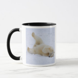 Mug ours polaire, Ursus maritimus, ourson roulant