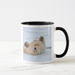 Mug ours polaire, Ursus maritimus, ourson roulant 3