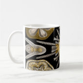 Mug Oursins d'Ernst Haeckel Echinidea (Gauche)