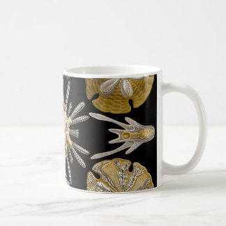 Mug Oursins d'Ernst Haeckel Echinidea