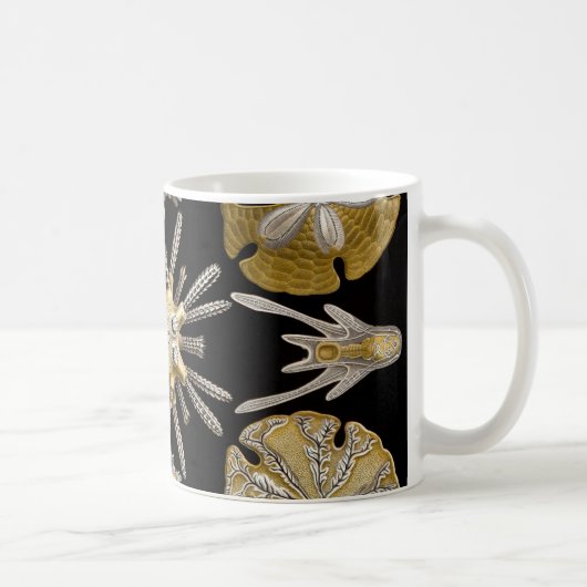 Mug Oursins d'Ernst Haeckel Echinidea (Droite)