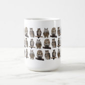 Mug Owls (Centre)