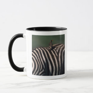 Mug oxpecker Jaune-affiché (africanus de Buphagus)