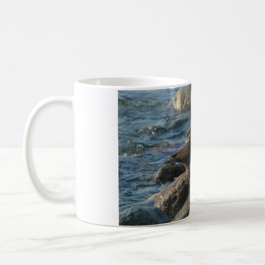 Mug Oystercatcher noir (Gauche)