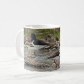 Mug Oystercatchers (Devant gauche)