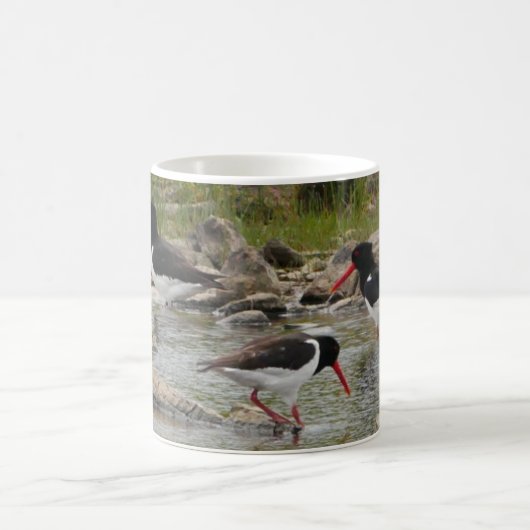 Mug Oystercatchers (Centre)