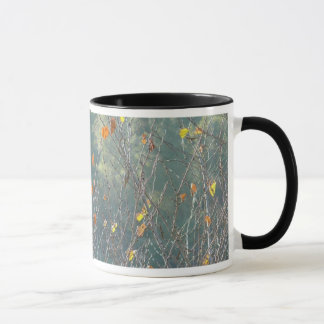 MUG P1110236, P1110236