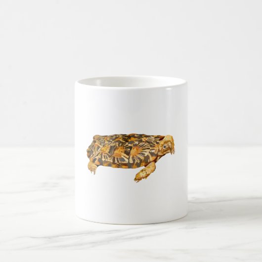 Mug P est pour Pancake Tortoise (Centre)