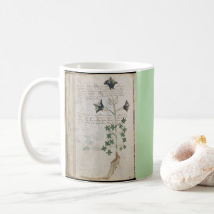 Mug Pages du manuscrit de Voynich Codex botanique anci