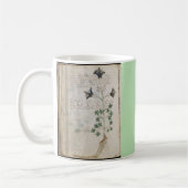 Mug Pages du manuscrit de Voynich Codex botanique anci (Gauche)