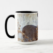 Mug Paire de cerfs de Mule sauvage | Californie (Gauche)