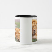 Mug Paire de lions africains, Panthera leo, Tanzanie (Centre)