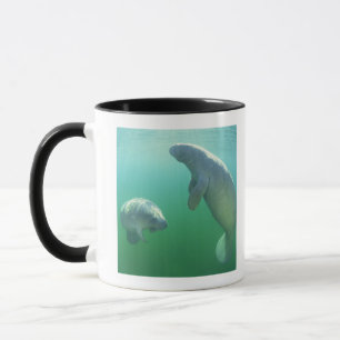 Mug Paires de lamantins de la Floride nageant