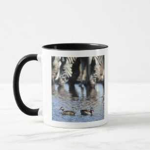 Mug paires turquoises Rouge-affichées