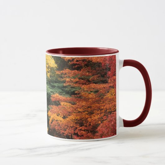 Mug Palette d'automne (Droite)