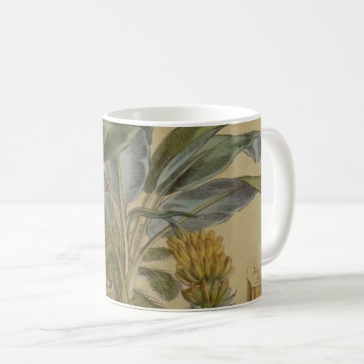 Mug Palm Antique Fruit Tropical Art Botanique (Devant droit)