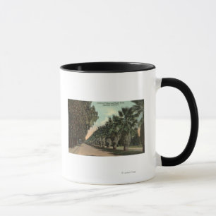 Mug Palmiers et de poivre à côté d'avenue