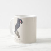 Mug Palmisano Cacatoès, perroquet Probosciger aterrimu (Devant gauche)