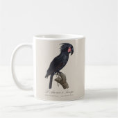 Mug Palmisano Cacatoès, perroquet Probosciger aterrimu (Gauche)