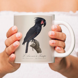 Mug Palmisano Cacatoès, perroquet Probosciger aterrimu
