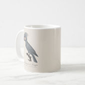 Mug Palmiste noir, Probosciger aterrimus (Devant gauche)
