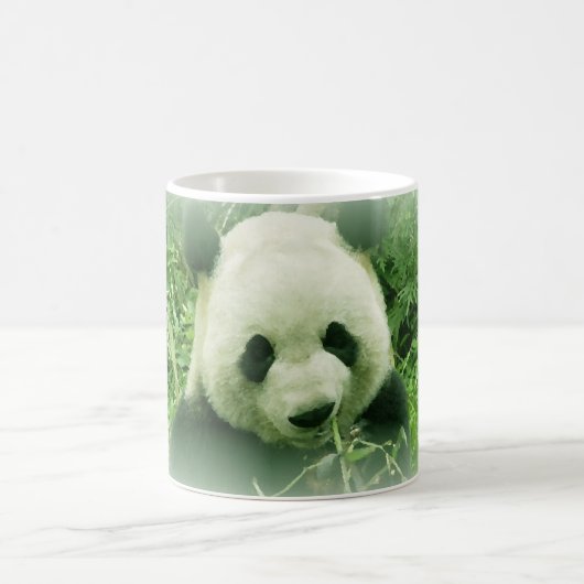 Mug Panda (Centre)