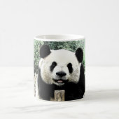 Mug Panda (Centre)