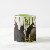 Mug Panda dans la forêt de bambous (Centre)