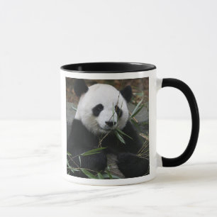 Mug Panda géant