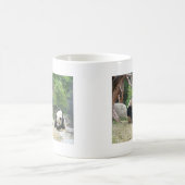 Mug Panda géant,大熊猫 (Centre)