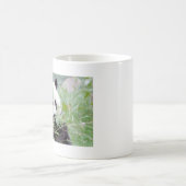 Mug Panda géant de la photo de grenades. Panda. (Centre)