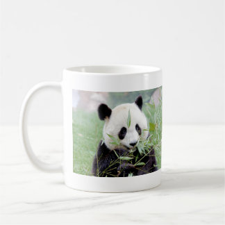 Mug Panda géant de la photo de grenades. Panda.