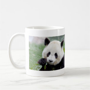 Mug Panda géant de la photo de grenades. Panda.