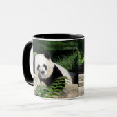Mug Panda géant faisant une sieste (Devant gauche)